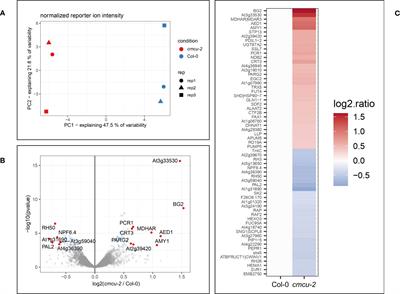 Comparative analysis of wild-type and chloroplast MCU-deficient plants reveals multiple consequences of chloroplast calcium handling under drought stress
